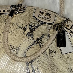 Snake Skin Coach Purse